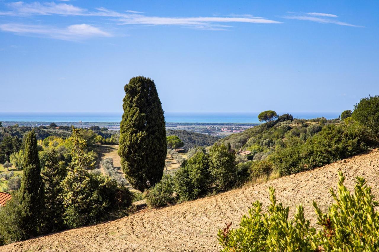 קאסאלה מריטימו Villa Cesarina Amazing Villa With Private Pool In The Tuscan Hills מראה חיצוני תמונה