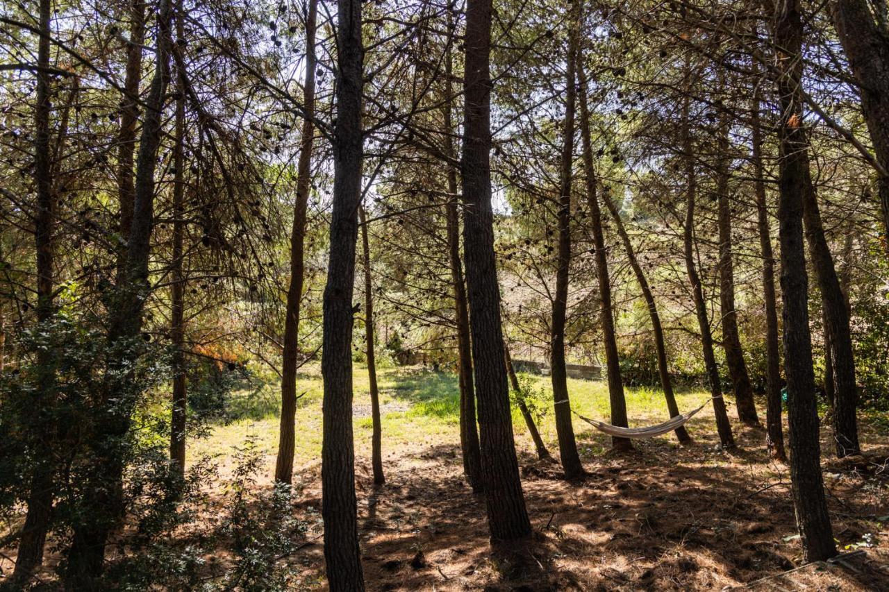 קאסאלה מריטימו Villa Cesarina Amazing Villa With Private Pool In The Tuscan Hills מראה חיצוני תמונה